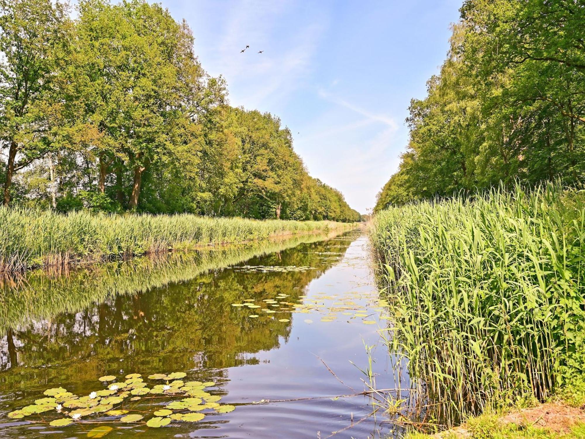 Chalet With Gorgeous View Of The Natural Surroundings Weerselo エクステリア 写真