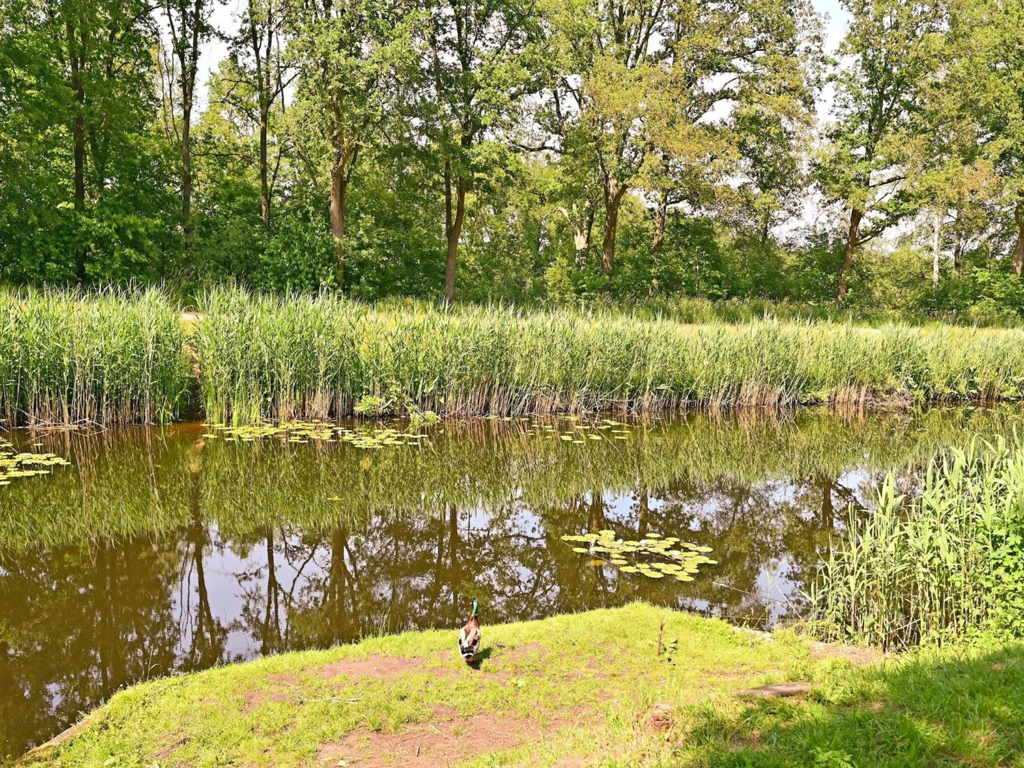 Chalet With Gorgeous View Of The Natural Surroundings Weerselo エクステリア 写真